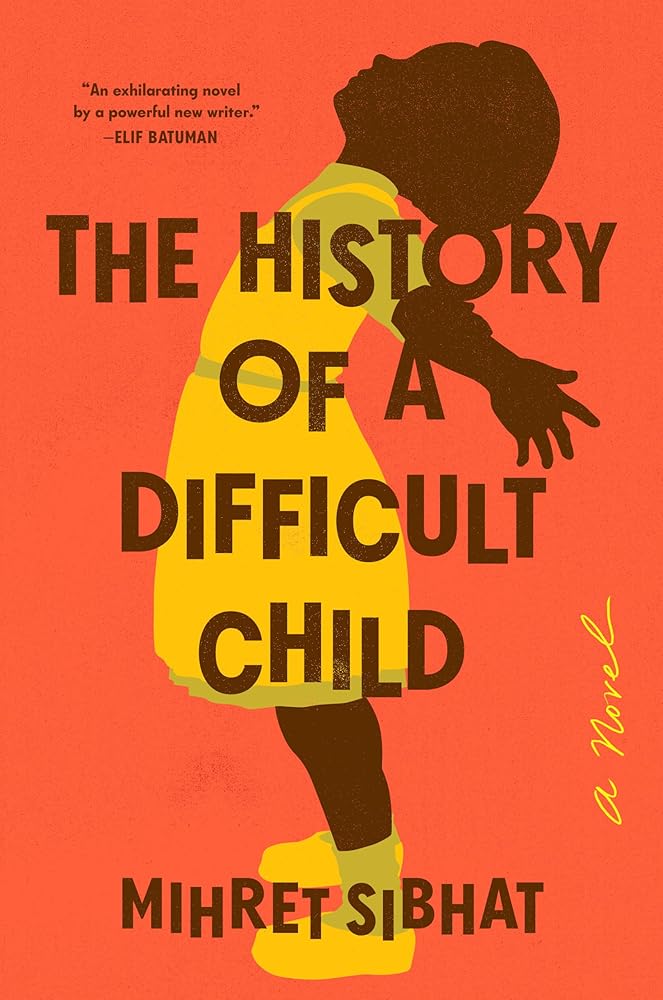 The History of a Difficult Child: A Novel cover image