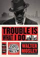 Trouble Is What I Do (Leonid McGill) cover image
