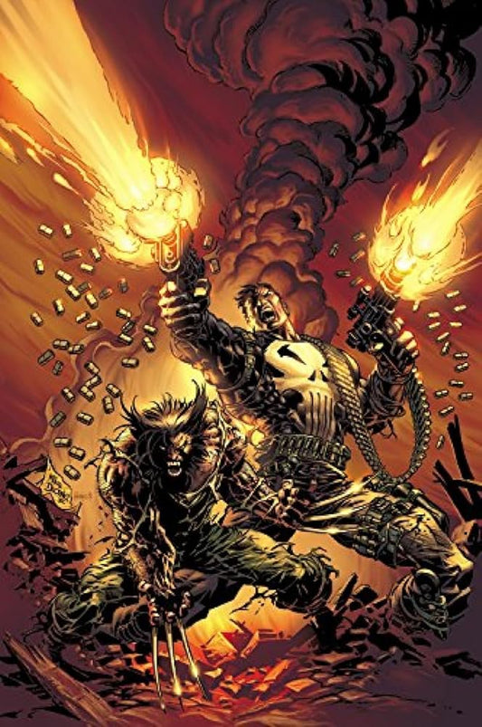 Wolverine VS the Punisher cover image