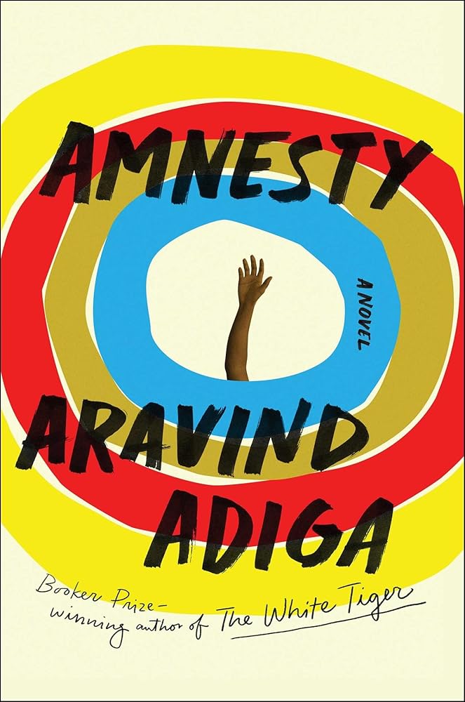 Amnesty: A Novel cover image