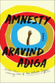 Amnesty: A Novel cover image