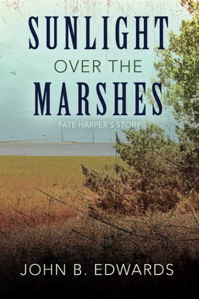Sunlight Over the Marshes cover image