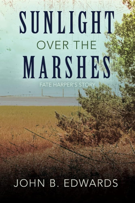 Sunlight Over the Marshes cover image